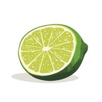 Freshly Sliced Green Lemon with Vibrant Colors vector