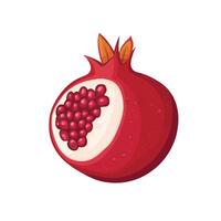 Glossy Red Pomegranate Full of Freshness vector