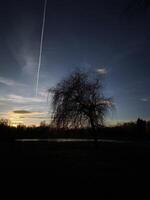 Airplane leaving contrail over a Bagr lake at sunset in Stromovka ceske budejovice, czechia photo