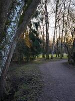 Pathway winding through trees at sunset in park Stromovka budweis, czechia photo