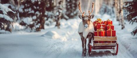 Reindeer pulling sleigh loaded with christmas gifts in a snowy forest, creating a magical winter scene photo