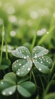 Close up of dewdrops on clover leaf, creating serene atmosphere photo