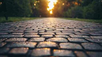 Dew covered cobblestones in quiet park path at dawn, evoking tranquility photo