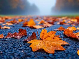 serene trail covered with wet autumn leaves glistening in morning light photo