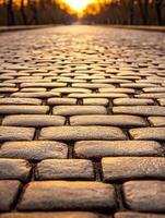 Dew covered cobblestones glisten in quiet park path at dawn photo