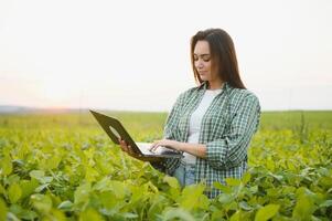 Modern agribusiness. Female farmer with digital laptop examines and checkins green leaves of soybeans plants at field photo