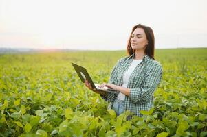 Modern agribusiness. Female farmer with digital laptop examines and checkins green leaves of soybeans plants at field photo