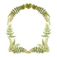 Arched wreath with fern leaves botanical card template in earth tone. Hand drawn watercolor elegant floral frame. Perfect for the use of ecological material and sustainable designs. vector