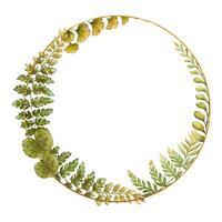 Round frame with fern leaves botanical card template in earth tone. Hand drawn watercolor floral element with thin gold. Perfect for the use of ecological material and modern designs. vector
