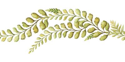 Fern leaf thin curved seamless border in the earth green tone. Hand drawn watercolor botanical element with textured foliage. Perfect for the use of ecological material and sustainable designs. vector