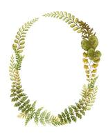 Elliptical wreath with fern leaves botanical card template in earth tone. Hand drawn watercolor elegant floral frame. Perfect for the use of ecological material and sustainable designs. vector