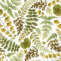 Fern leaves seamless pattern on white background. Hand drawn watercolor botanical surface with textured prehistoric foliage. Perfect for the use of ecological material and sustainable designs. vector