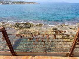 Locks on the bridge. View of the sea from the bridge photo