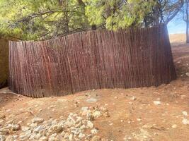 Fence made of vectors of trees in the forest photo