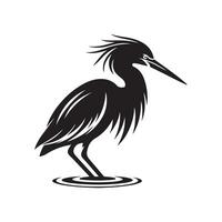Green Heron Silhouette Vectors for Photography and Visual Content