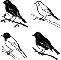 Robin perched on a tree branch silhouette illustration vector