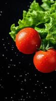 Fresh Green Lettuce and Ripe Red Tomatoes With Water Droplets in Super Slow Motion Captured Up Close With Probe Lens on Black Background for Culinary and Healthy Lifestyle Concepts photo