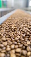 Freshly Roasted Coffee Beans on Conveyor Belt in Modern Production Facility Highlighting Industrial Coffee Manufacturing Process and Quality Control in Large-Scale Roasting Factory Setting photo
