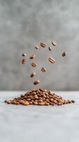Bouncing Coffee Beans in Super Slow Motion Close Up with Probe Lens Against Gray Background photo