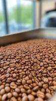 Freshly Roasted Coffee Beans Filling a Modern Roasting Machine for Perfect Brew in Bright Daylight, Highlighting Texture and Warmth, Ideal for Caffeine Lovers, Cafes, and Beverage Advertisements photo