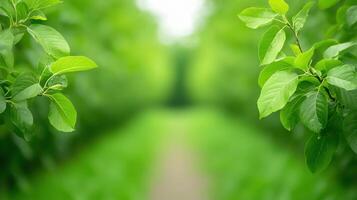 Lush Green Orchard With Scientific Trellises Showcasing Hybrid Fruit Cultivation In A Laboratory Setting Featuring Vibrant Foliage And Greenery Under Ideal Lighting Conditions photo