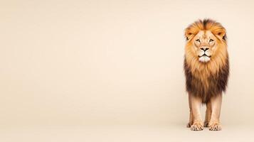 Majestic Lion on Subtle Background Displaying Strength and Authority, Perfect for Nature Themes, Wildlife Art, and Inspirational Designs photo
