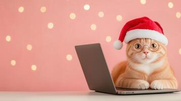 Cat wearing Santa hat and glasses lying on a laptop with a pink background and bokeh lights. Festive holiday pet portrait for Christmas design and print. photo