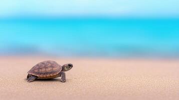 Turtle Slowly Walking on Sandy Beach Toward the Ocean with Clear Blue Sky and Calm Waves Under Natural Sunlight in Serene Coastal Scene photo