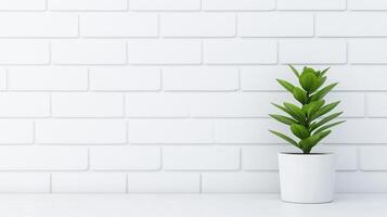Seamless White Brick Wall with Clean Lines Featuring a Vibrant Green Potted Plant for Modern Interior Design and Minimalist Decor Concepts in a Bright Studio Space photo