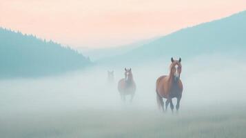 Wild Horses Galloping Freely Across Misty Open Fields at Dawn in Tranquil Scenic Landscape with Majestic Mountain Backdrop and Soft Pastel Hues for Serene Nature and Countryside Themes photo