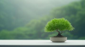 Minimalist Bonsai on Green Screen Background for Tranquil Design and Zen Concepts, Ideal for Nature lovers and Interior Decor Enthusiasts Seeking Serenity and Harmony in Life photo