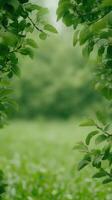 Lush Greenery Through Leafy Archway at Ephemeral Orchard, Ideal for Nature Backgrounds or Seasonal Designs Focused on Tranquility and Growth Themes photo