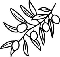A sketchy icon of an olive branch vector