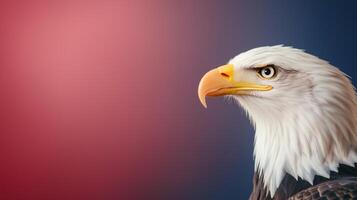 Majestic Bald Eagle Portrait Against Blurred Red And Blue Background Capturing The Essence Of Freedom And Patriotism During Independence Day Celebrations In A Strikingly Vivid Composition photo