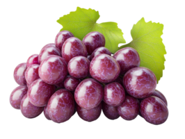 Grapes arranged with leaves in a vibrant display png