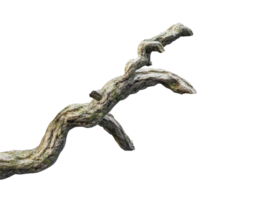 Twisted branch with natural textures and details png
