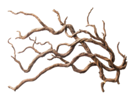 Unique twisted wood perfect for aquarium decor png