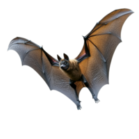 Bat in flight showcasing its wings and features png