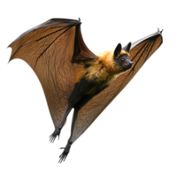 Flying bat showcasing its wings in motion png