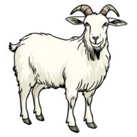 Goat standing in a rural setting during daylight png