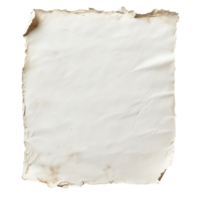 Blank aged paper with irregular edges and texture png