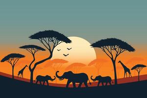 savannah in the evening with big trees elephants and giraffes in silhouette flat illustration vector