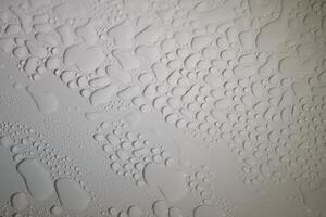 close up of water droplets on white background, macro, shallow depth of field, water drops photo