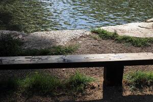 bench for rest in the city park photo