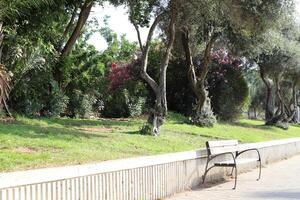 bench for rest in the city park photo