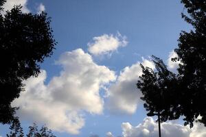 white clouds are floating across the sky photo
