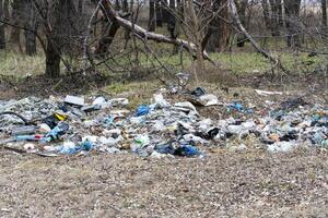 There is a lot of garbage in the forest. The concept of human pollution of forests and nature. A terrible dump in the woods. photo