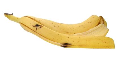 Peel of ripe banana on isolated background photo