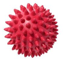 red rubber ball with spikes on an isolated background. Dog toy photo