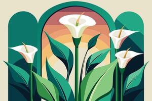 Regal calla lilies in a minimalist setting Illustration vector